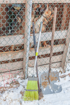 Tools and equipment - a broom, a shovel and an ice pick for cleaning the cages of a dog shelter