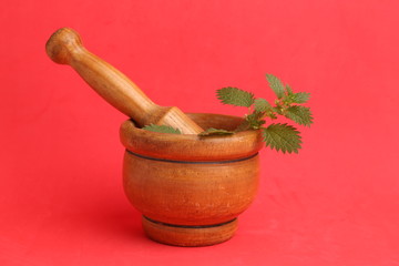 plant used for nettle medicine in color background