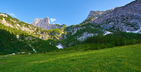 Alpine meadows in summer. Upper Austria