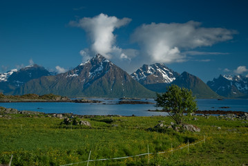 Norwegia - wikingowie, Fiordy i Lofoty