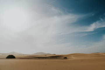 desert landscape blue sky