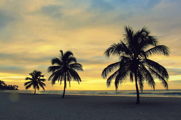 Fototapeta na wymiar Colorful sunrise and huge palm trees on the beach in the Dominican Republic