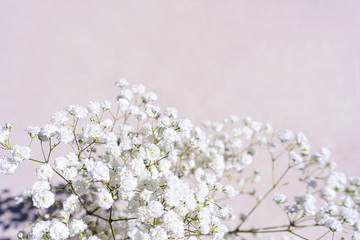 Beautiful bouquet of white flowers with shadows on pastel gray pink concrete background.