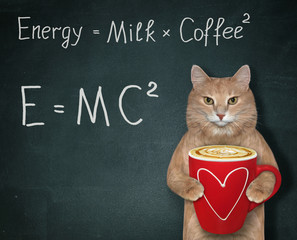 The ginger cat holds a red cup of black energy coffee with milk. There are two funny formulas next to him. Black background.