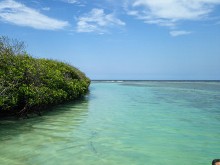 Caribbean Beach