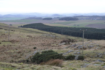 Drumcarrow Craig, near St Andrews, Fife, Scotland January 2020