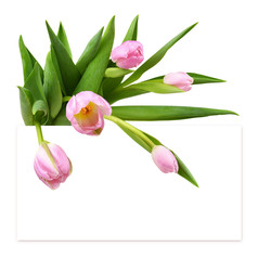 Pink tulip flowers ahd a white card