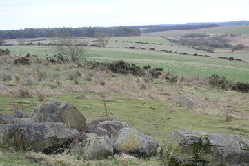 Drumcarrow Craig, near St Andrews, Fife, Scotland January 2020