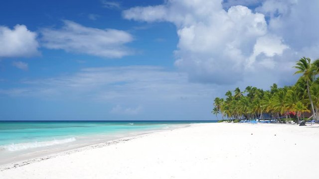 Coconut palm trees on white sandy beach on caribbean island. Travel destinations. Summer holidays