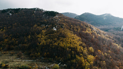autumn forest aerial