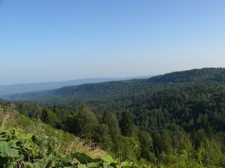 rest in the mountains, forest beautiful scenery