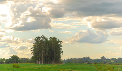 Farm area in Brazil and cumulunimbus clouds in the sky