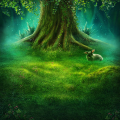 Big tree in the magic forest