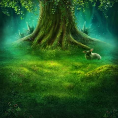 Foto op Canvas Big tree in the magic forest © Elena Schweitzer