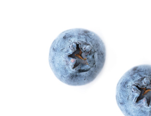 blueberries on a white background
