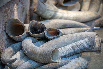 Tusks for sale in Old Town market in Feng Huang - obrazy, fototapety, plakaty