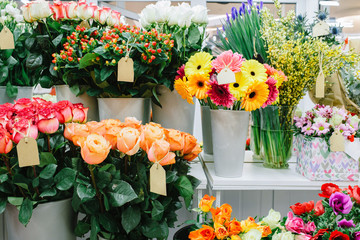 In The Florist Shop Showcase with vases with different colored roses in flower shop. Beautiful spring bouquets. Sale flowers in the store.