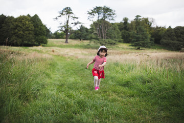 Naklejka na ściany i meble toddler girl playing in summer countryside forest park,Northern Ireland