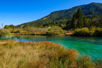 Fototapeta na wymiar Zelenci - Sava Dolinka river source in green lake