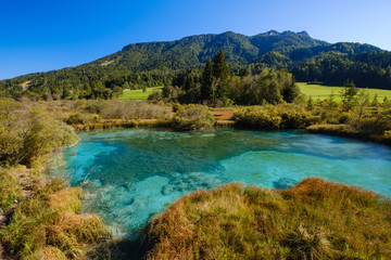 Fototapeta na wymiar Zelenci - Sava Dolinka river source in green lake