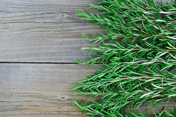 Branches of fresh green bio rosemary on wooden old boards. Horizontal orientation. Save the space.
