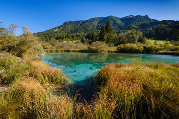 Zelenci - Sava Dolinka river source in green lake