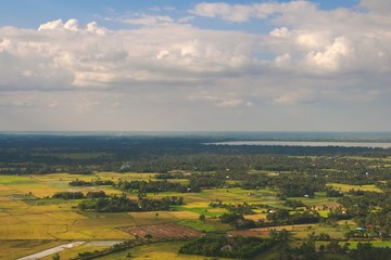 Green farmlands and crop fields on a sunny day near Siem Reap, Cambodia. Aerial view.