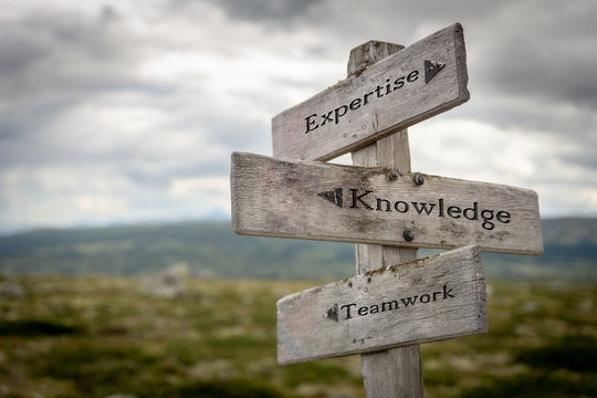 Expertise, Knowledge And Teamwork Text On Wooden Road Sign Outdoors In Nature. Business, Team Building And Corporate Concept.