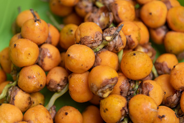 Fruits of Butia eriospatha a plant from the Brazilian cerrado