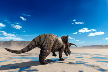 triceratops on the desert walking after rain rear view © DM7