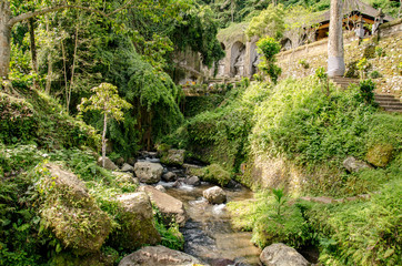 Vegetación frondosa de la isla de Bali 