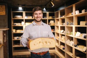 Hansome man hold big slice of cheese maasdam in hand. Cheese with big holes. Background of shelves...