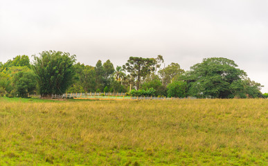 Livestock and agricultural production farm in southern Brazil