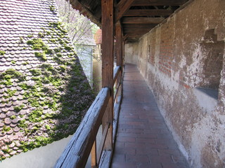 Obraz premium Begehbarer Wehrgang Stadtmauer Nördlingen