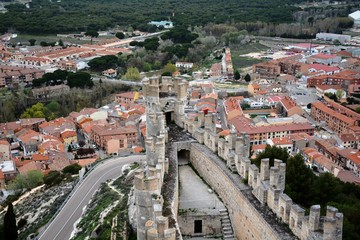 Fototapeta na wymiar aerial view of a castle and a village