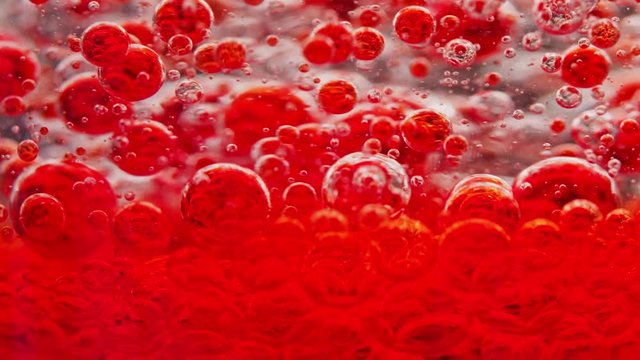macro shot of a bunch of red bubbles in water moving constantly