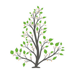 Blooming tree with green leaves and orange berries on a white background