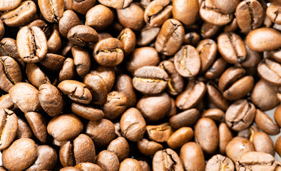 コーヒー豆の背景