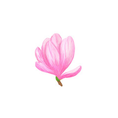 Pink magnolia wild flower in a watercolor style isolated simple object for greeting cards, gift paper