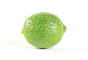 Whole lime isolated on white background. Single lime.
