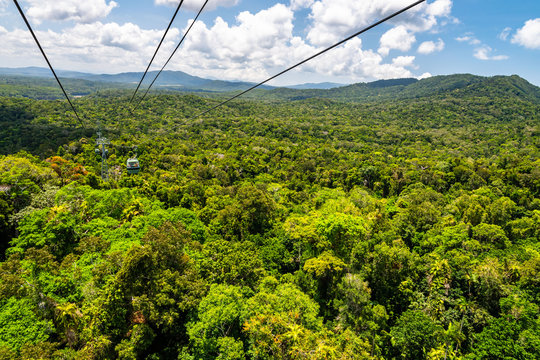 Top view of Australian rainforest from a cableway in north Queensland