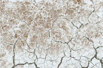 abstract grey, brown and white colors background for design