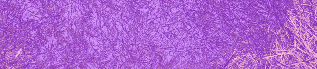 Fototapeta premium abstract violet; pink and purple colors background for design