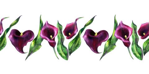 Watercolor seamless pattern with hand painted watercolor flowers, calla, calla lily Zantedeschia. Stock illustration. Fabric wallpaper print texture.