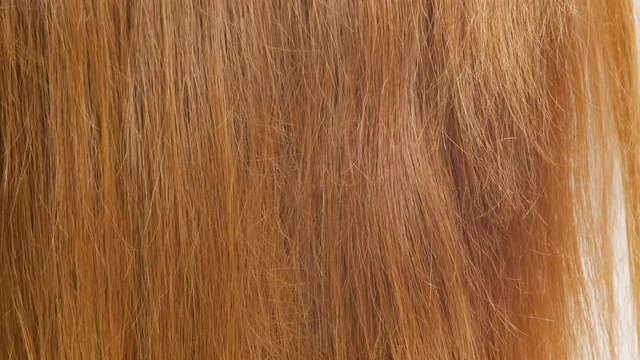 ブロンドの髪の毛のクローズアップ