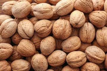 Many tasty walnuts as background