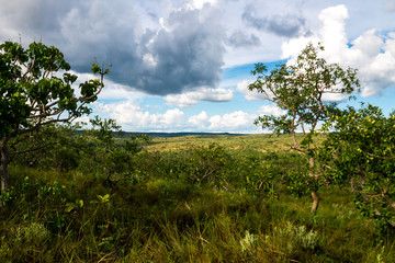 Rural landscape in Minas Gerais, Brazil, featuring cerrado vegetation under a blue sky with some clouds.