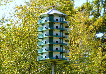 A large six-levels bird house