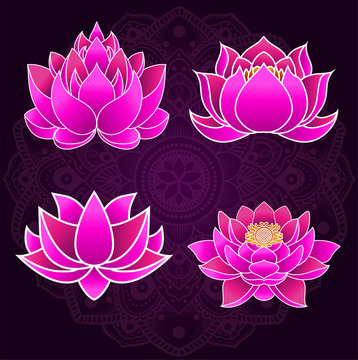 Set of stylized lotuses. Vector illustration. Yoga, wellness, spa, meditation design. Symbol of spiritual growth.