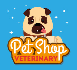 pet shop veterinary with cute dog vector illustration design